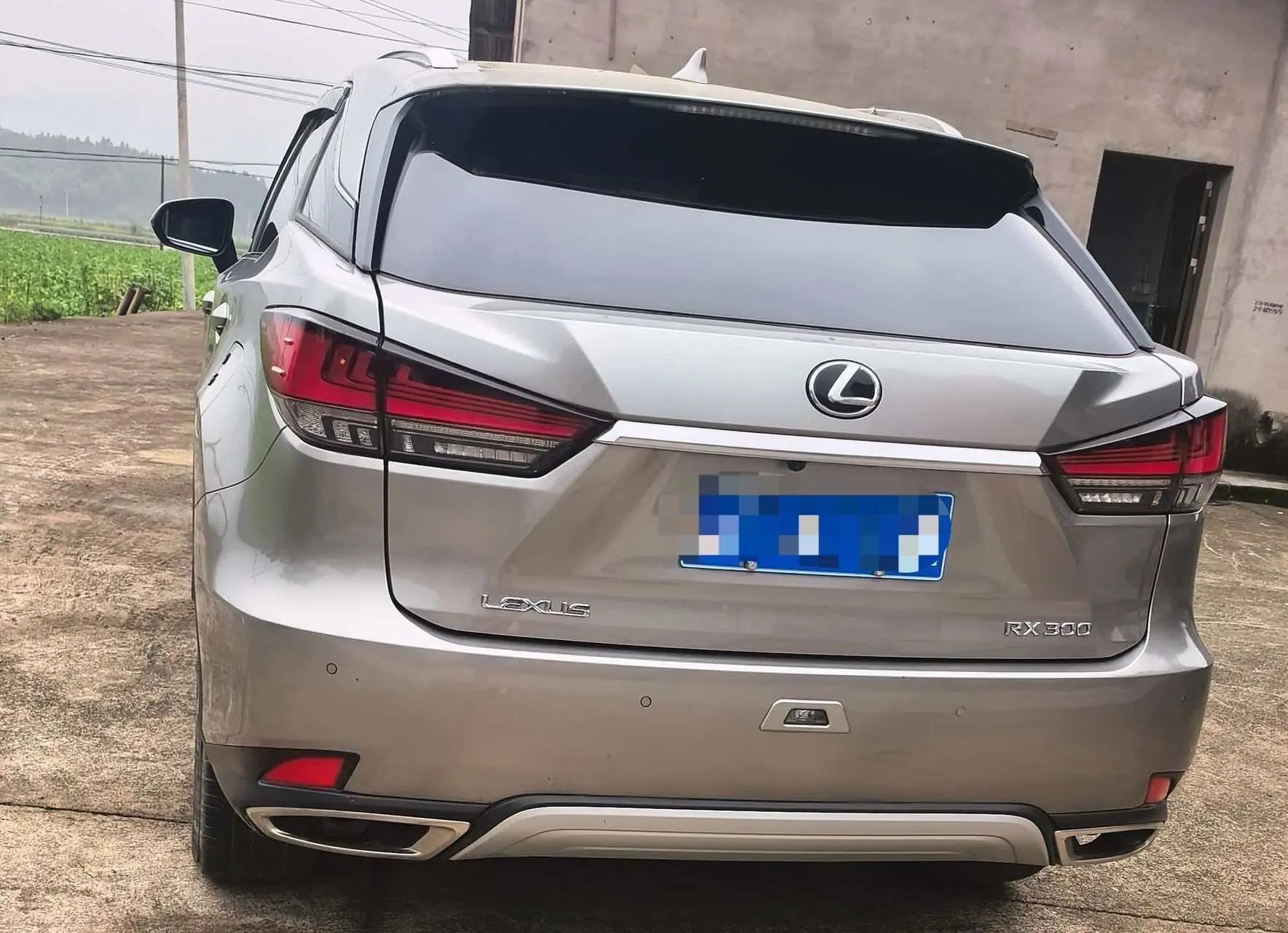 Lexus RX 2021 300 4WD Special Edition 4