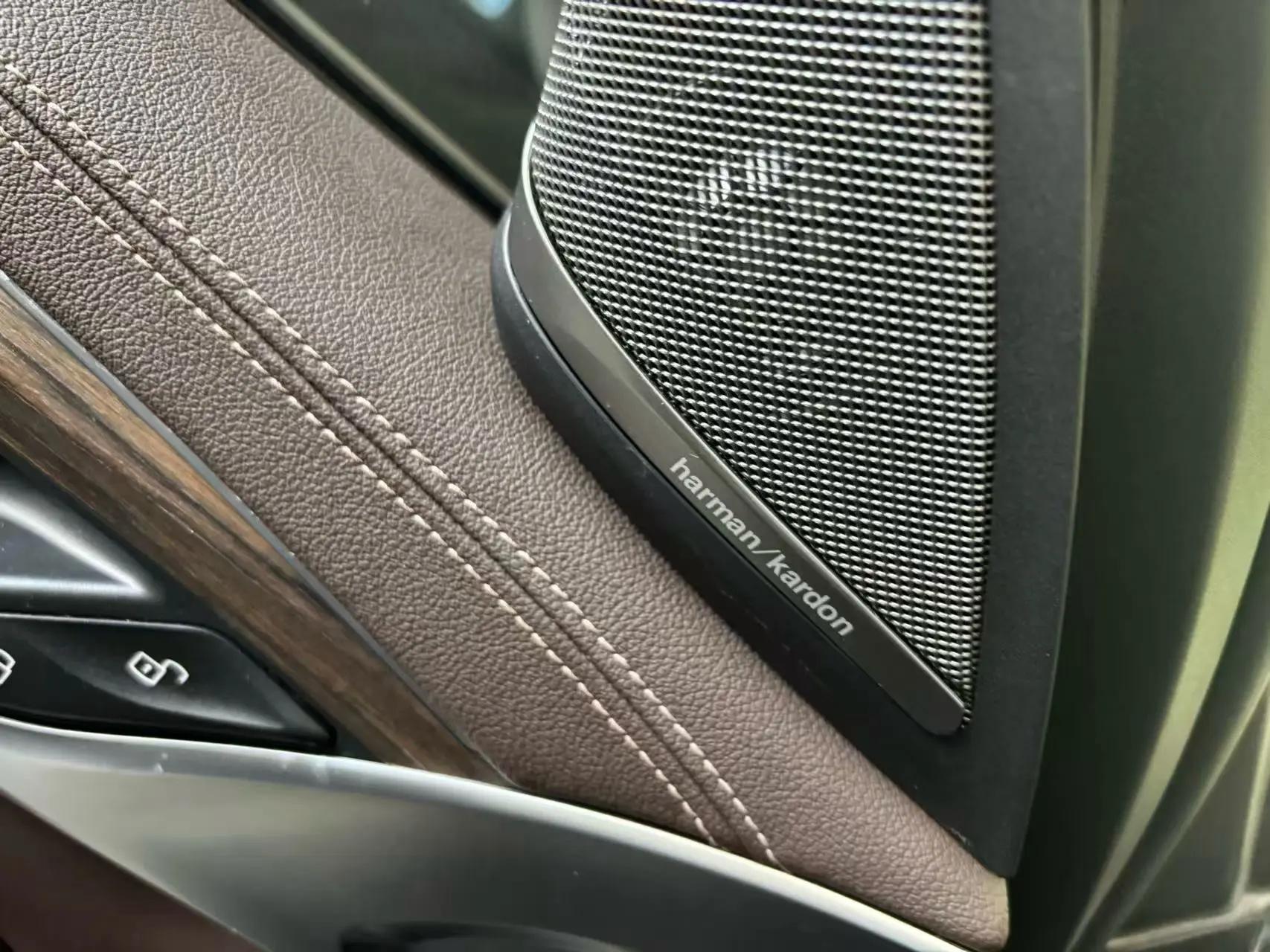 BMW 5 Series 2020 530Li Premium Luxury Suit 4