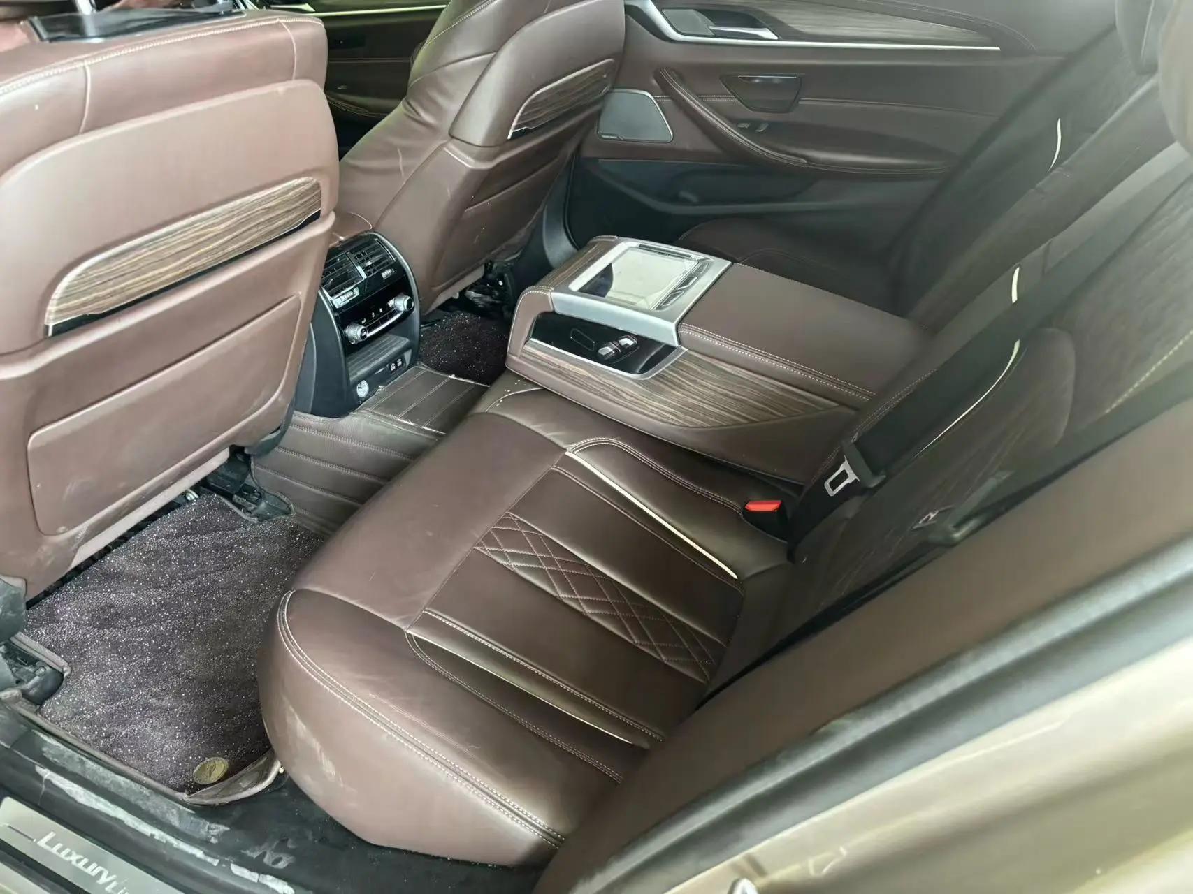 BMW 5 Series 2020 530Li Premium Luxury Suit 5