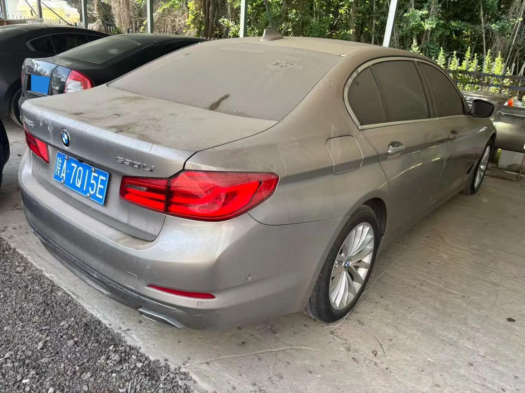 BMW 5 Series 2020 530Li Premium Luxury Suit 6
