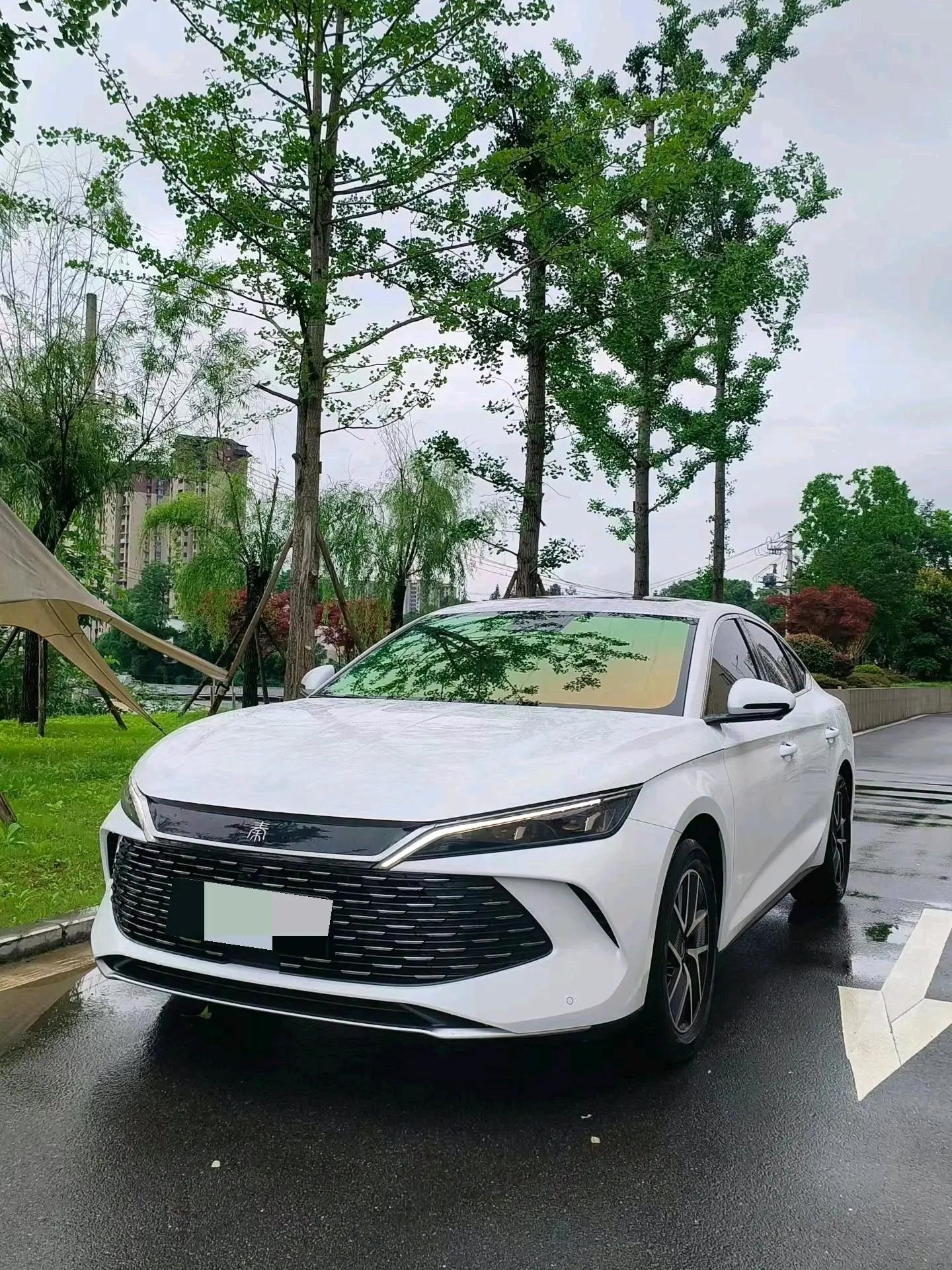 Qin L 2024 DM-i 120KM Exceed