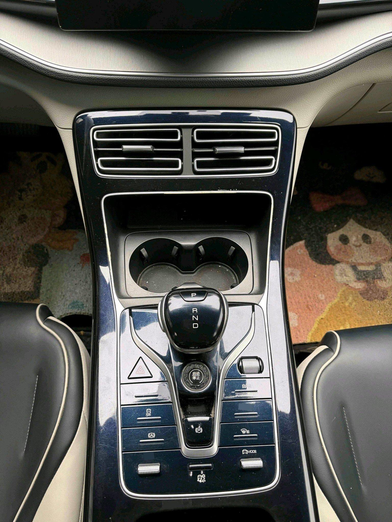 Qin PLUS 2021 EV 500KM Honorable Model 9