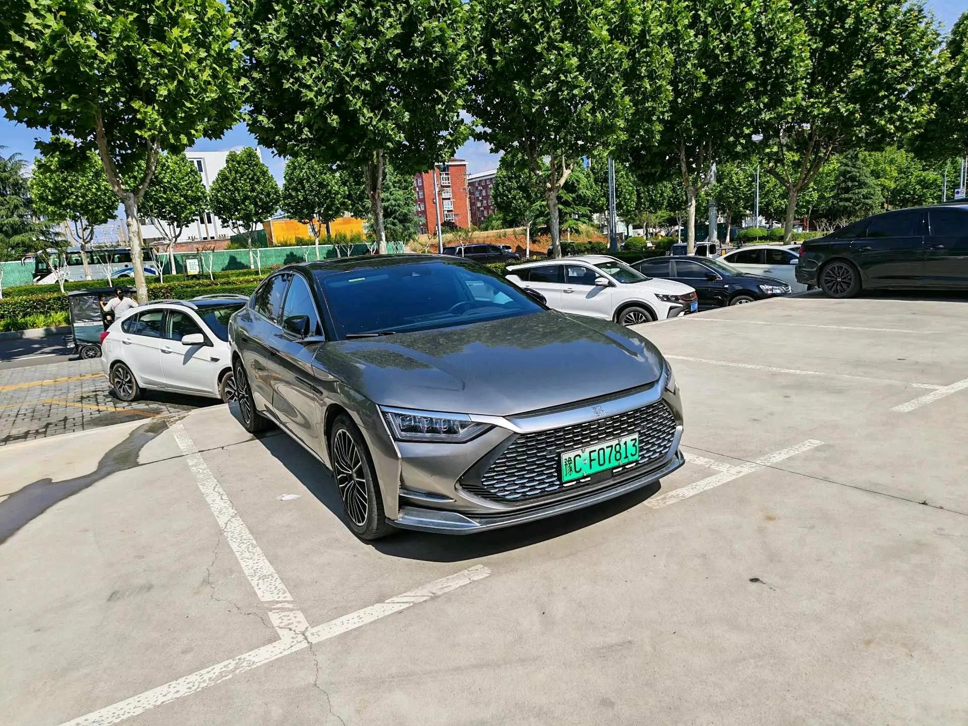 Han 2020 DM 4WD Performance Edition Premium Model 2