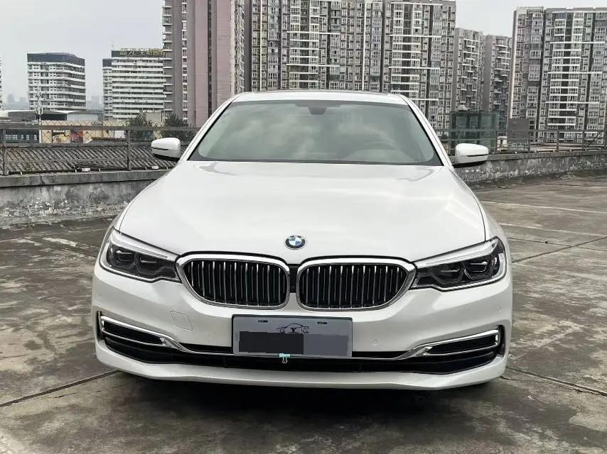 BMW 5 Series 2020 530Li Premium Luxury Suit 2