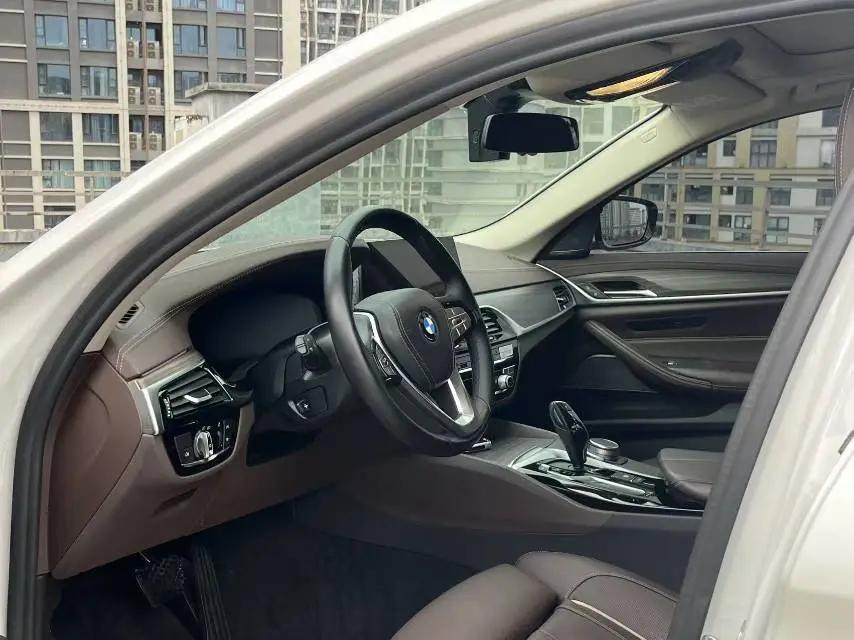 BMW 5 Series 2020 530Li Premium Luxury Suit 4