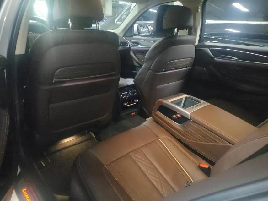 BMW 5 Series 2020 530Li Premium Luxury Suit 5