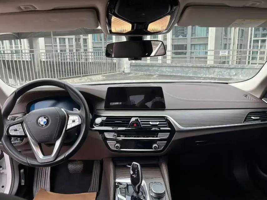 BMW 5 Series 2020 530Li Premium Luxury Suit 6
