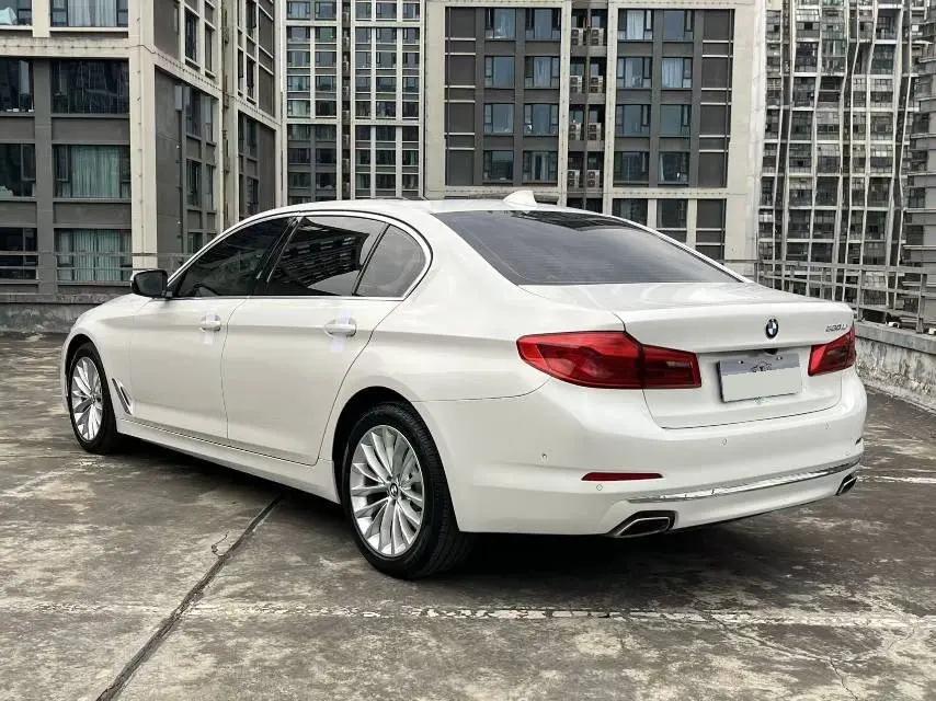 BMW 5 Series 2020 530Li Premium Luxury Suit 9