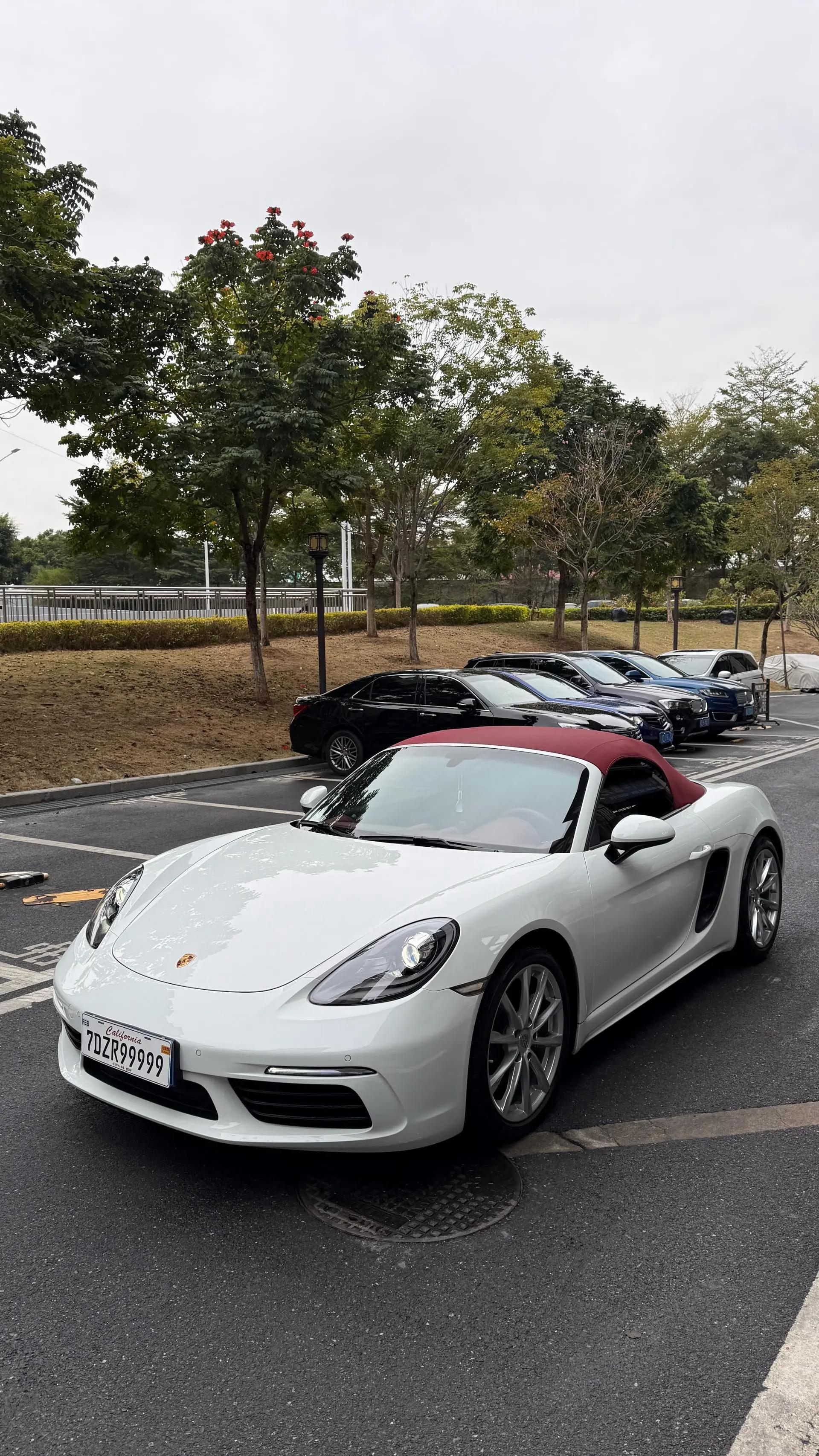 Porsche 718 2020 Boxster 2.0T 13