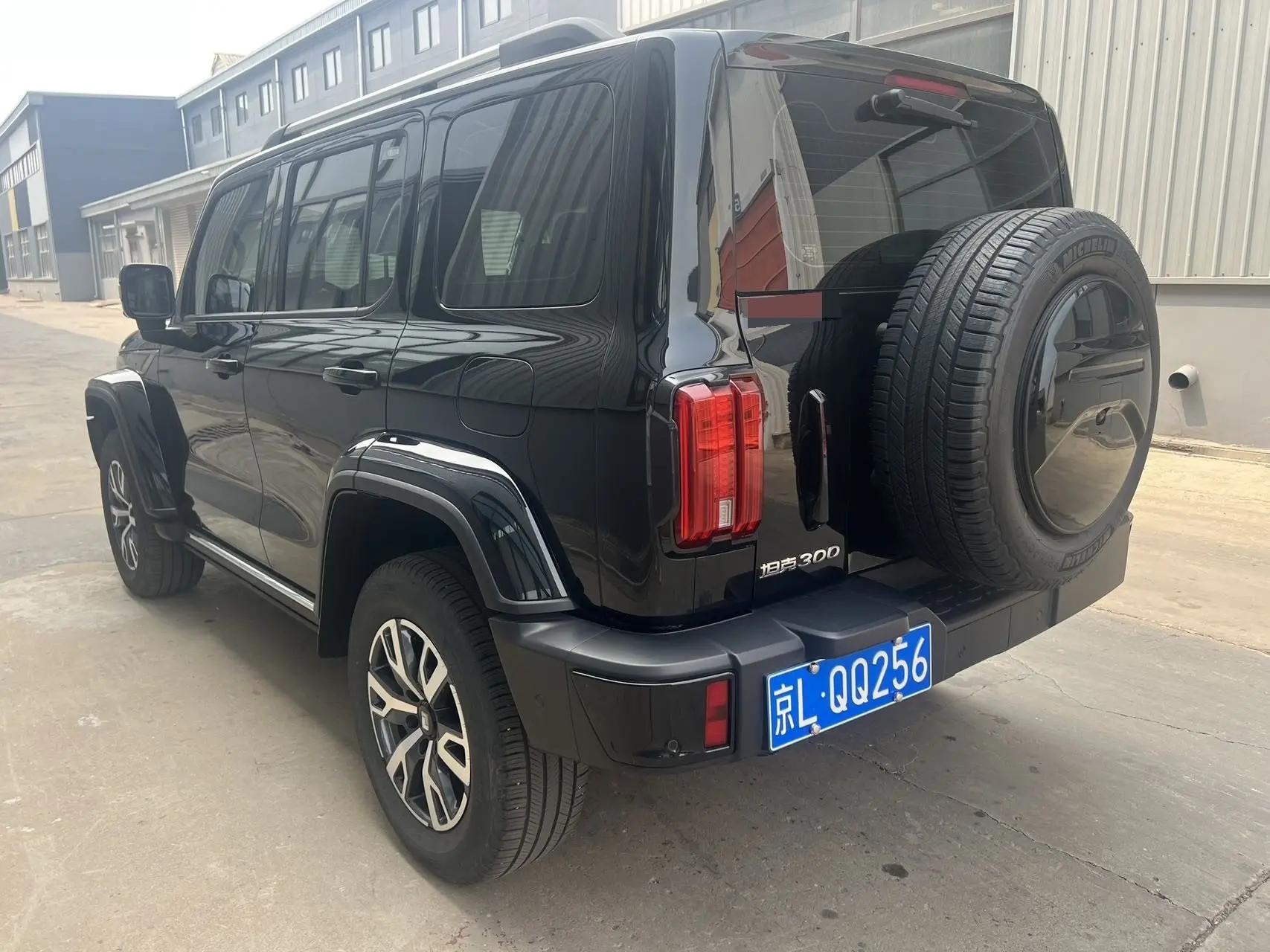 Tank 300 2024 2.0T Crossover 4