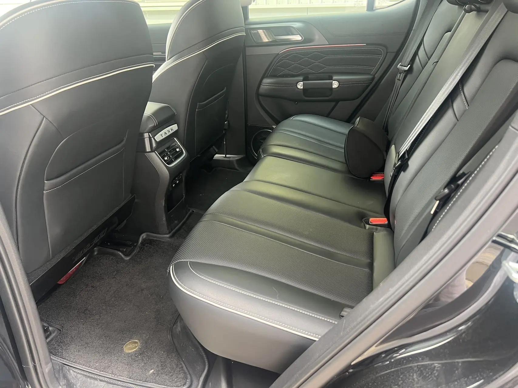 Tank 300 2024 2.0T Crossover 6