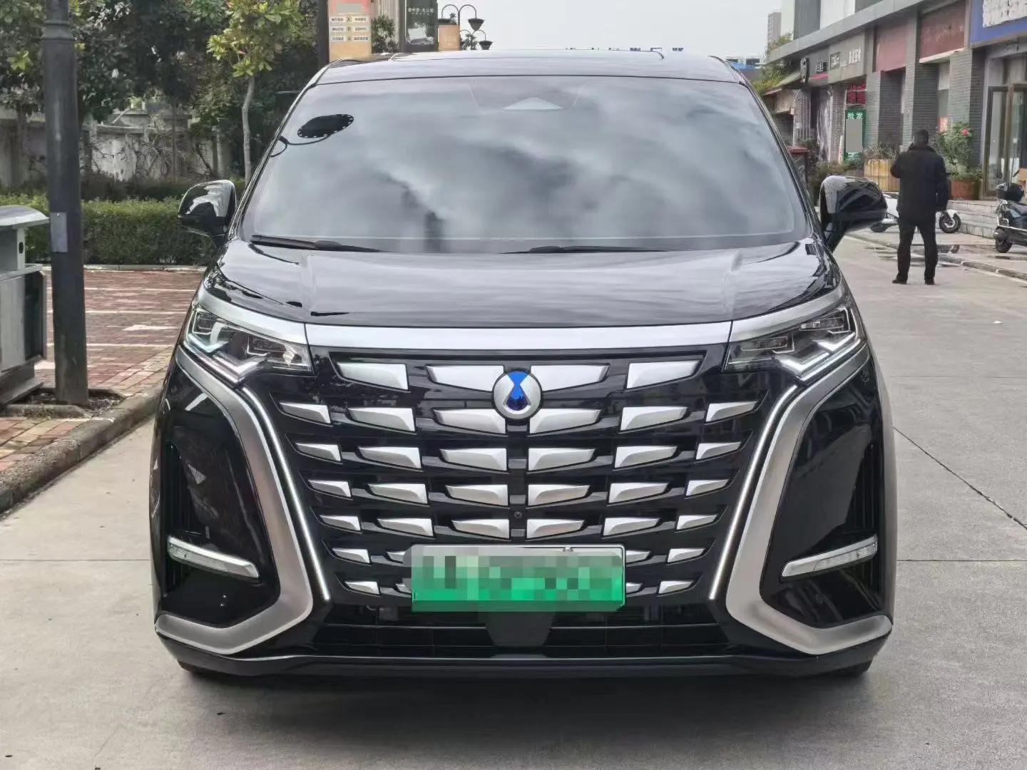 Denza D9 2022 DM-i 970 four-wheel drive flagship 2