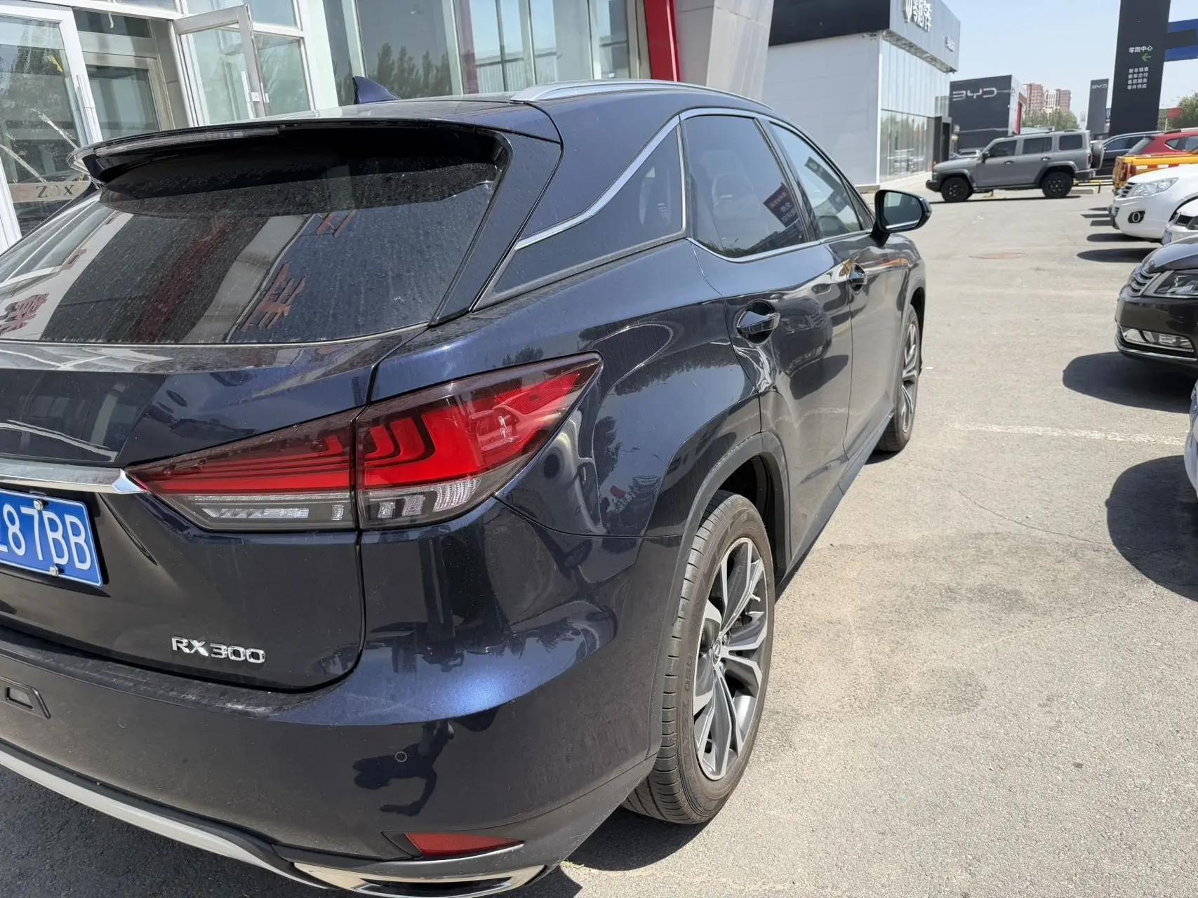 Lexus RX 2020 300 four-wheel drive elegant version of the national v 7