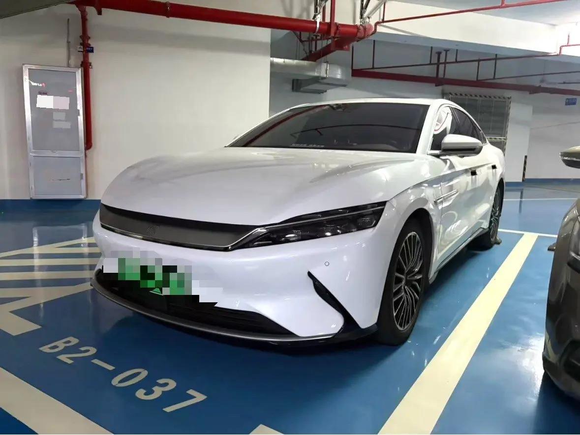 Han 2021 EV Standard Endurance Luxury Model