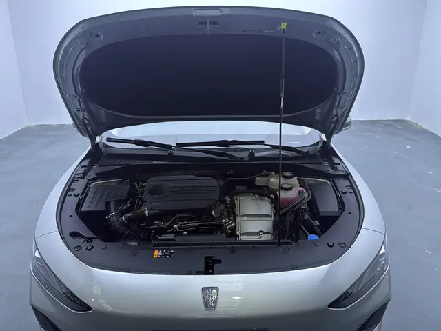 Roewe D7 2023 DMH 125km Flagship 11