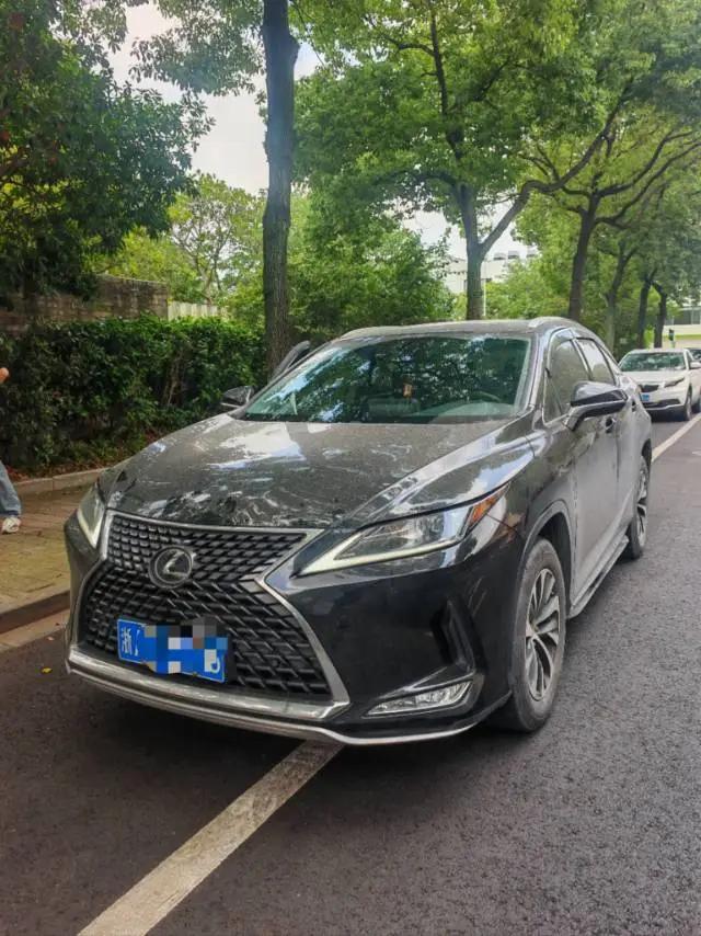 Lexus RX 2020 15000.00g Drive Comfort Edition Country V