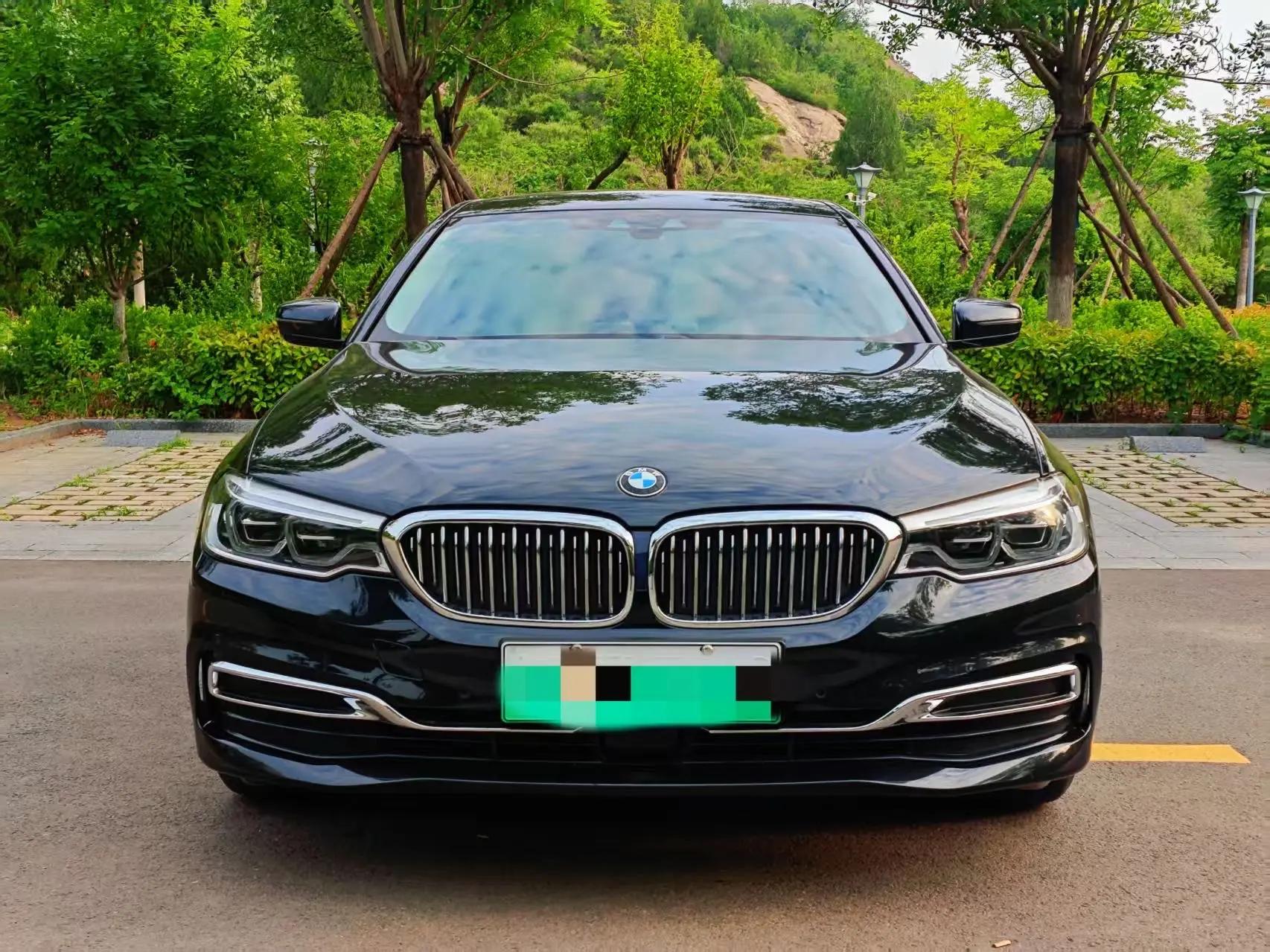 BMW 5 New Energy 2020 Mileage Upgrade 530Le Pioneer Edition 2