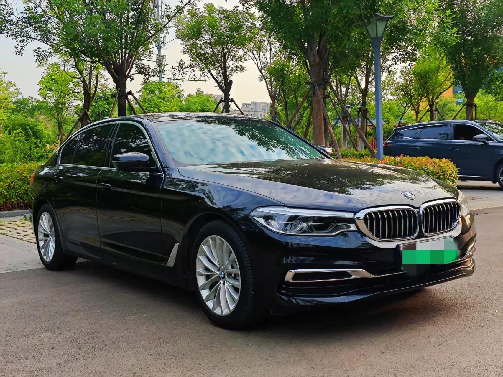 BMW 5 New Energy 2020 Mileage Upgrade 530Le Pioneer Edition 3