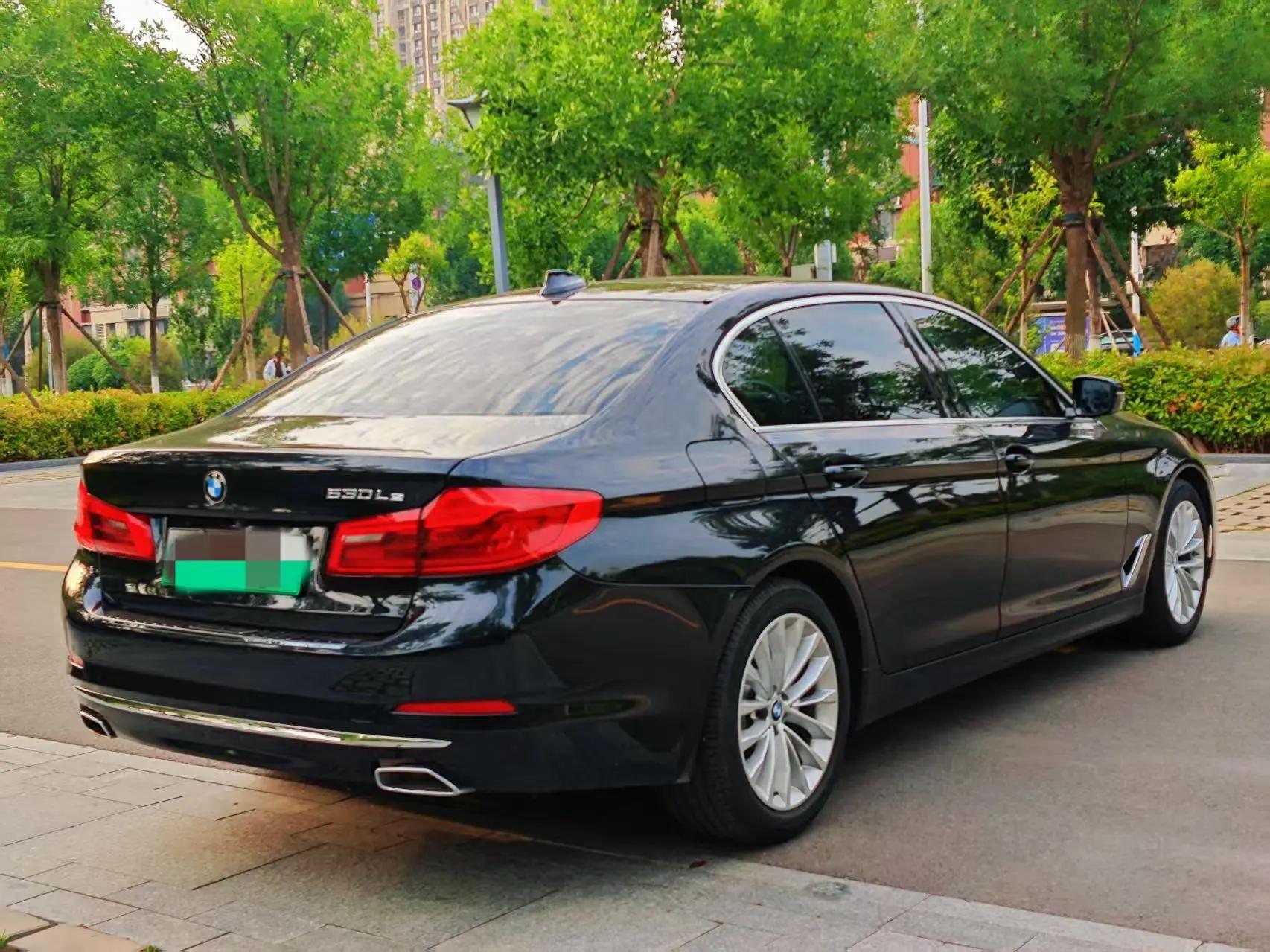 BMW 5 New Energy 2020 Mileage Upgrade 530Le Pioneer Edition 4