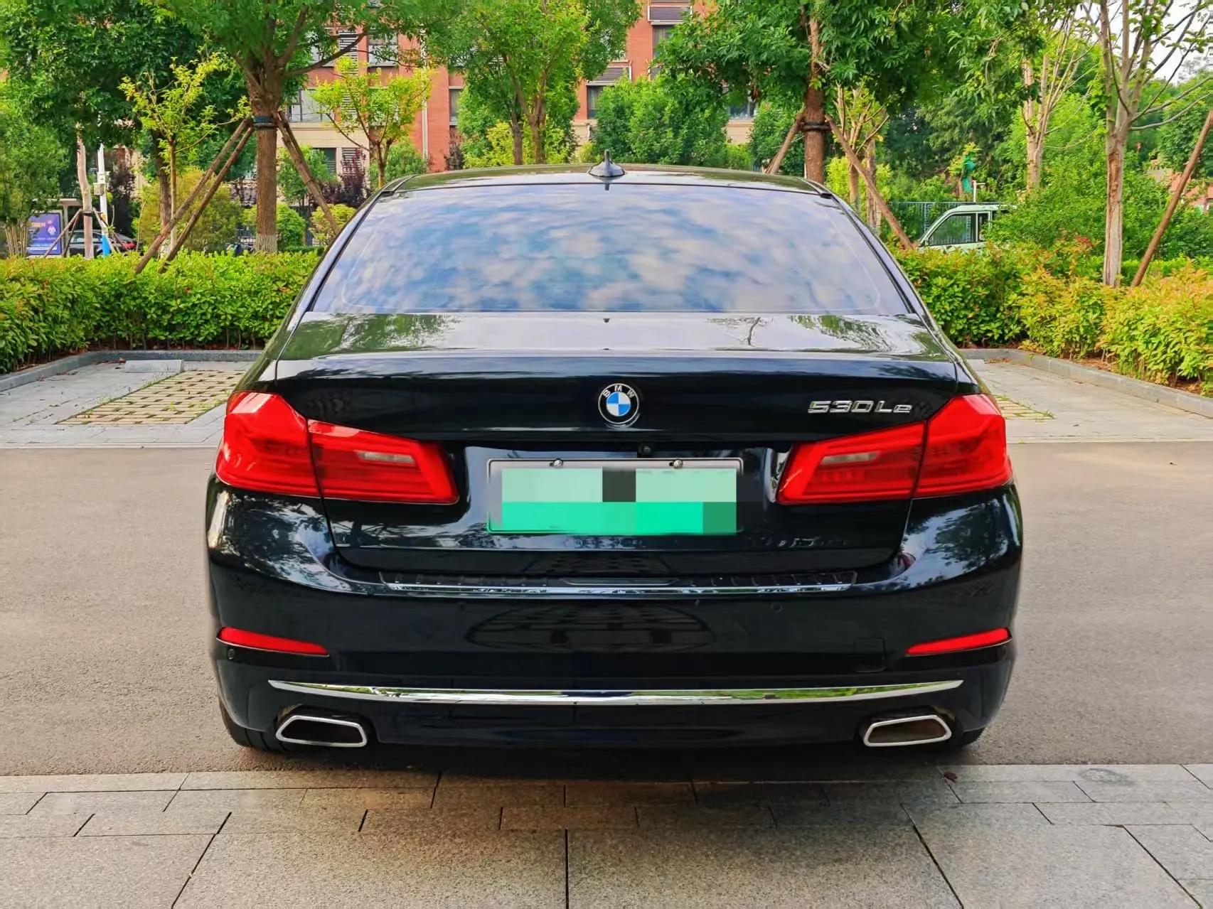 BMW 5 New Energy 2020 Mileage Upgrade 530Le Pioneer Edition 5