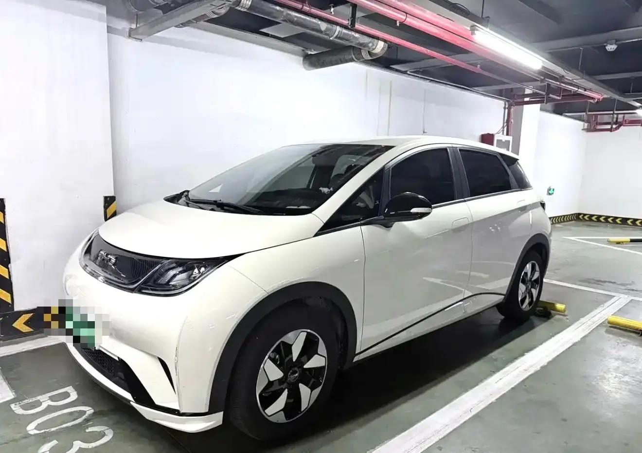 BYD 2025 Dolphin 420km Freedom Edition Automatic
