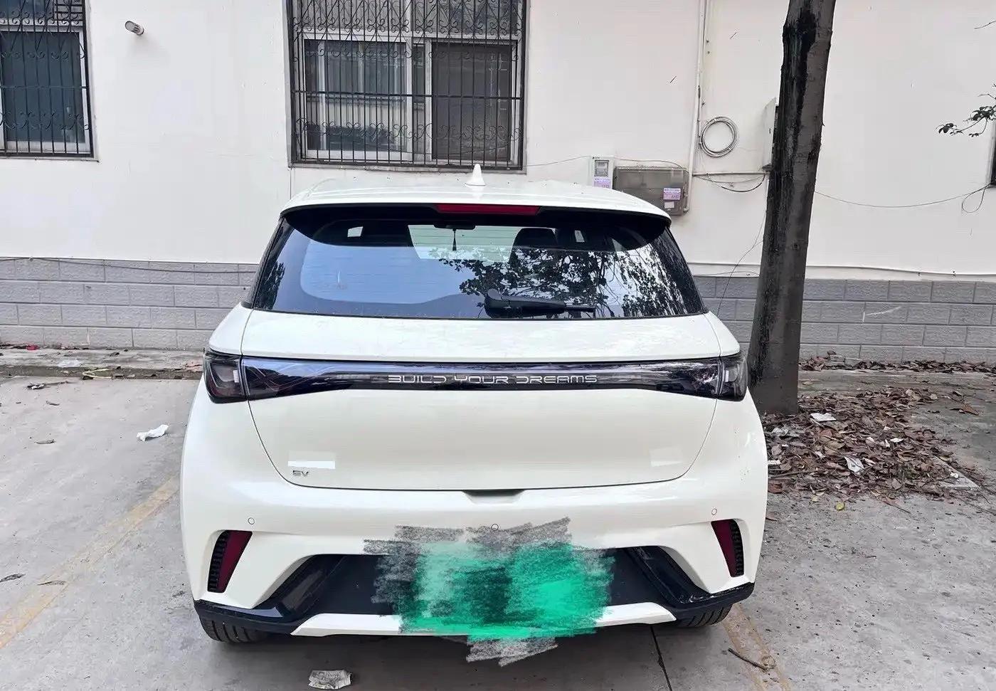 BYD 2025 Dolphin 420km Freedom Edition Automatic 2