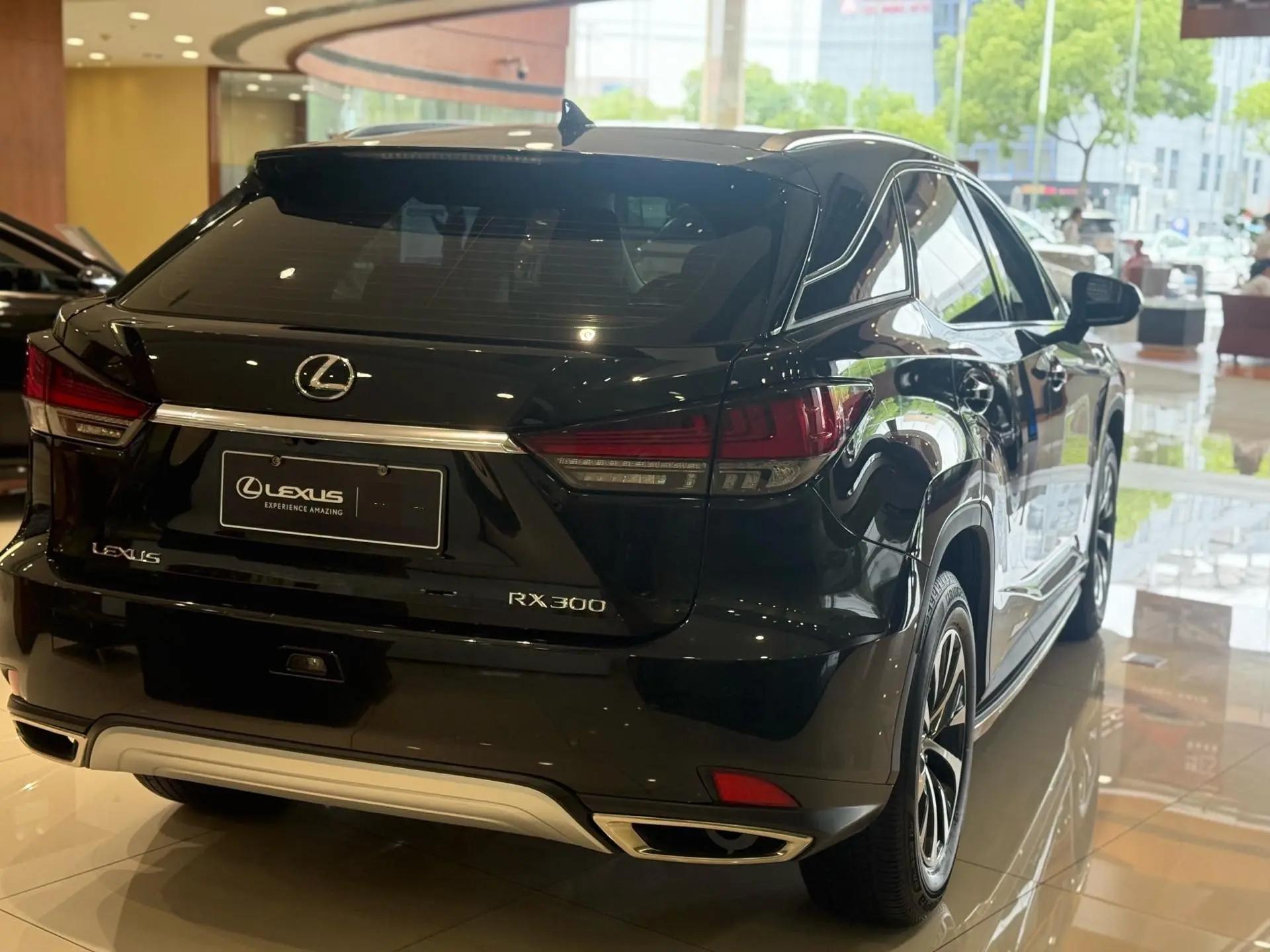 Lexus RX 2020 15000.00g Drive Comfort Edition Country V 11