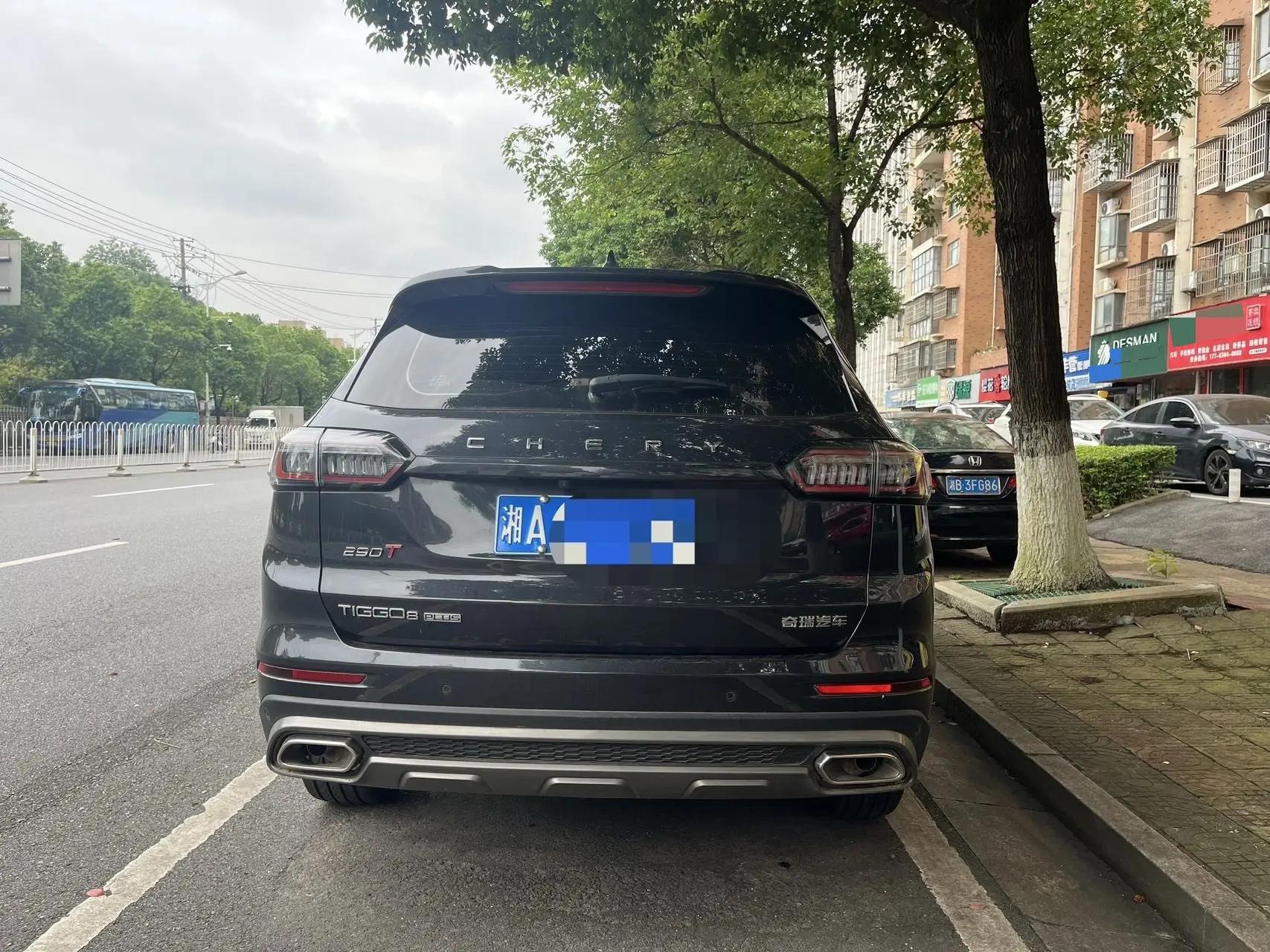 Ruihu 8 PLUS 2024 Champion Edition 290TGDI DCT Hao Yao Edition 5 7