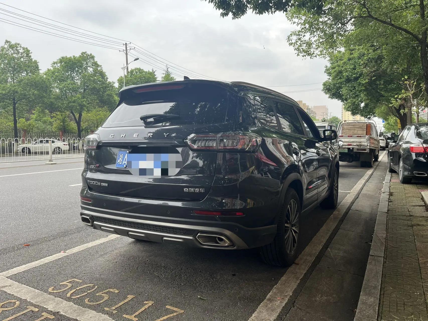 Ruihu 8 PLUS 2024 Champion Edition 290TGDI DCT Hao Yao Edition 5 8
