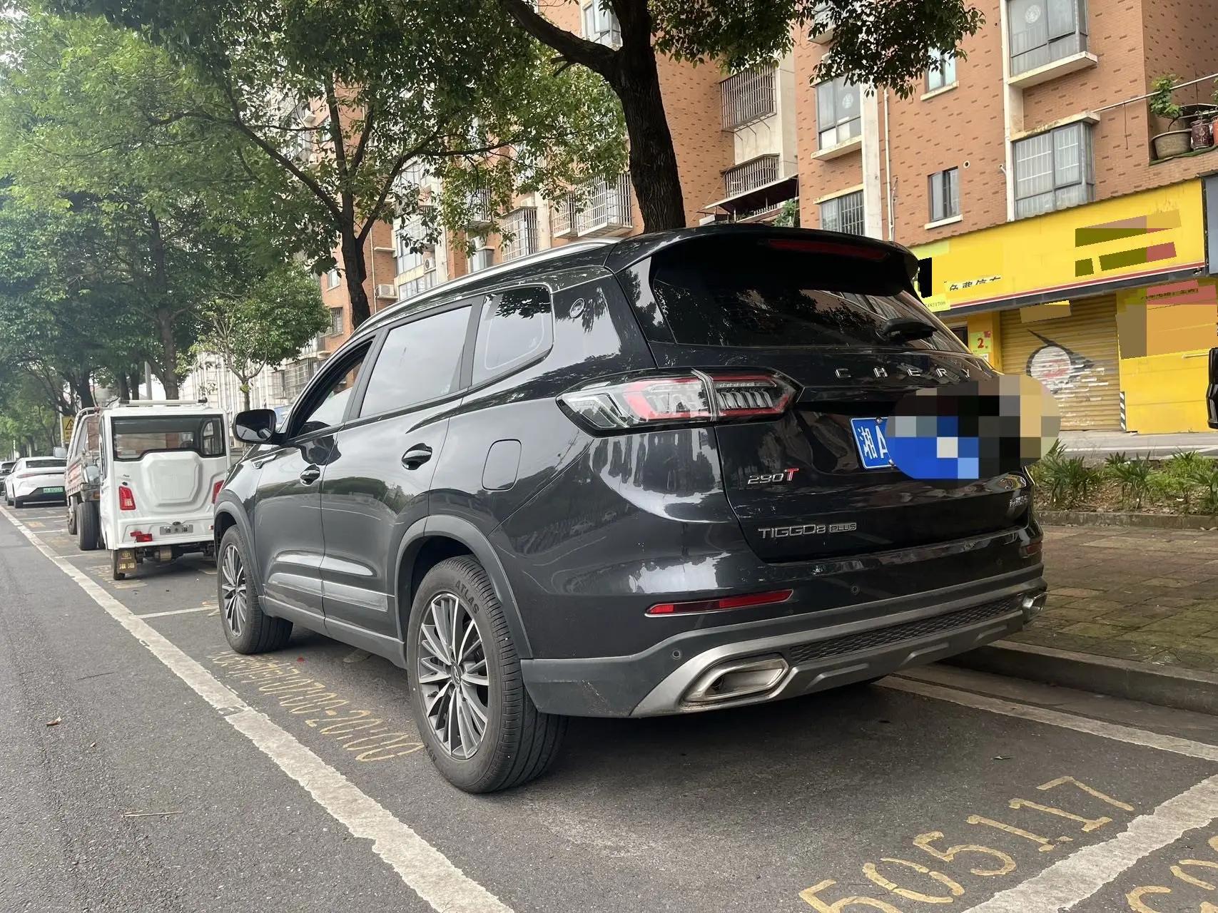 Ruihu 8 PLUS 2024 Champion Edition 290TGDI DCT Hao Yao Edition 5 9