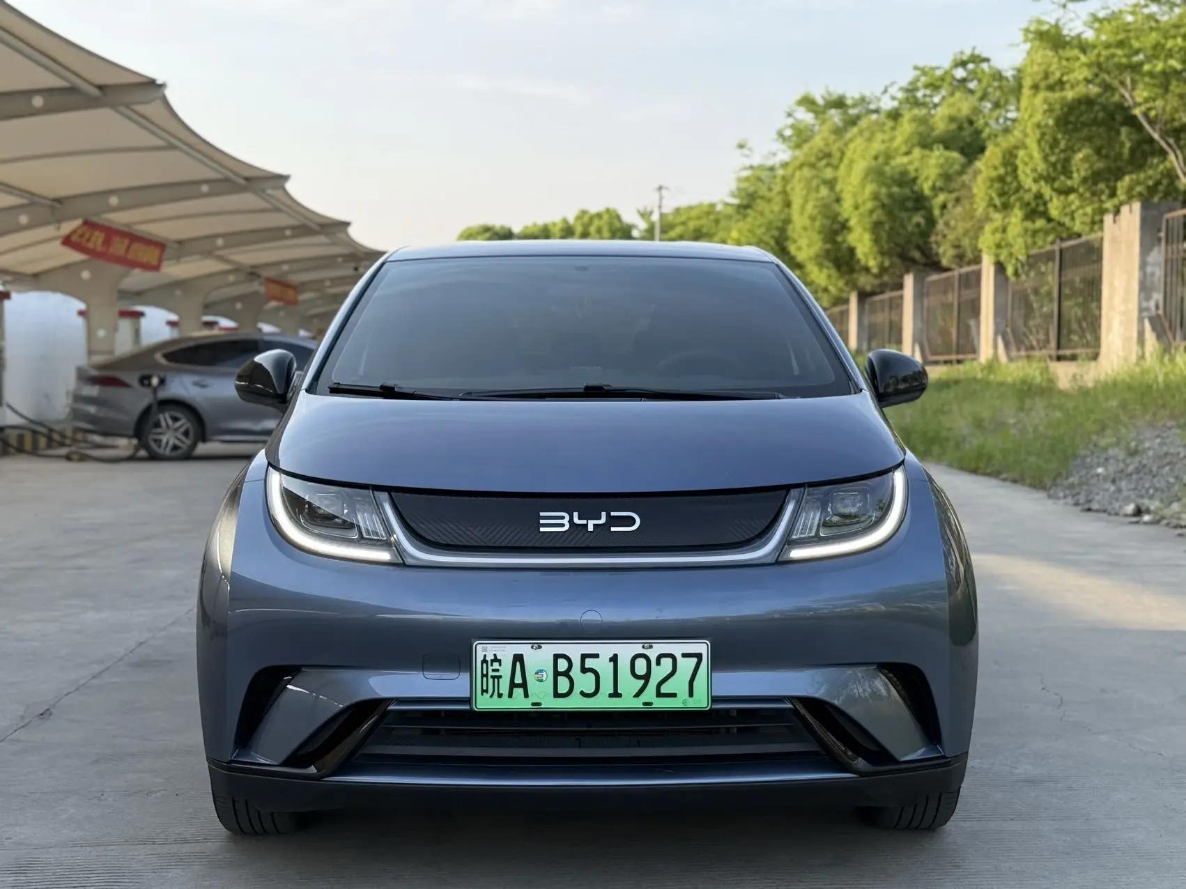 BYD 2025 Dolphin 420km Vital Edition Automatic Gear 2