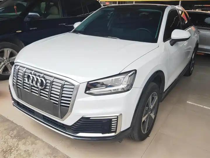 Audi Q2L e-tron 2019 Q2L e-tron Pure Electric Intelligence