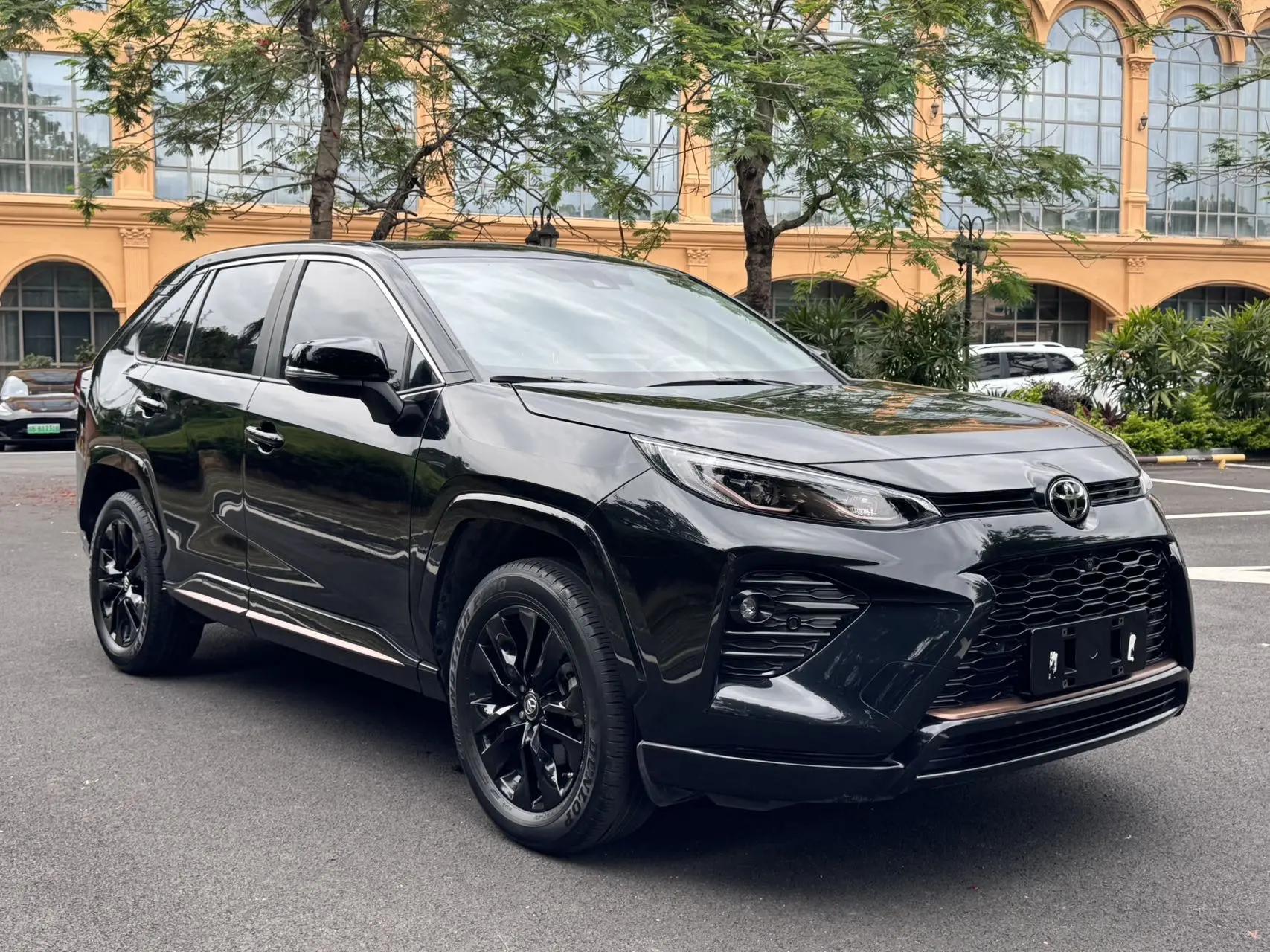 Willanda 2022 2.0L CVT Two-Drive Knight Edition 2