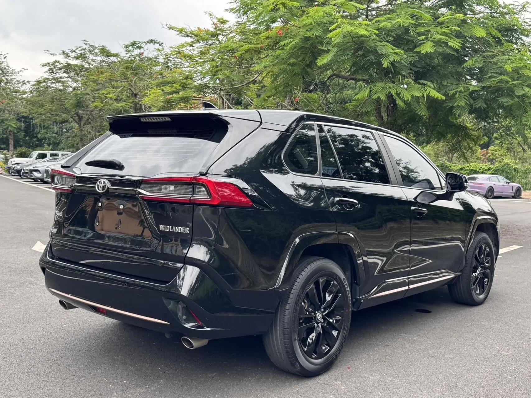 Willanda 2022 2.0L CVT Two-Drive Knight Edition 9