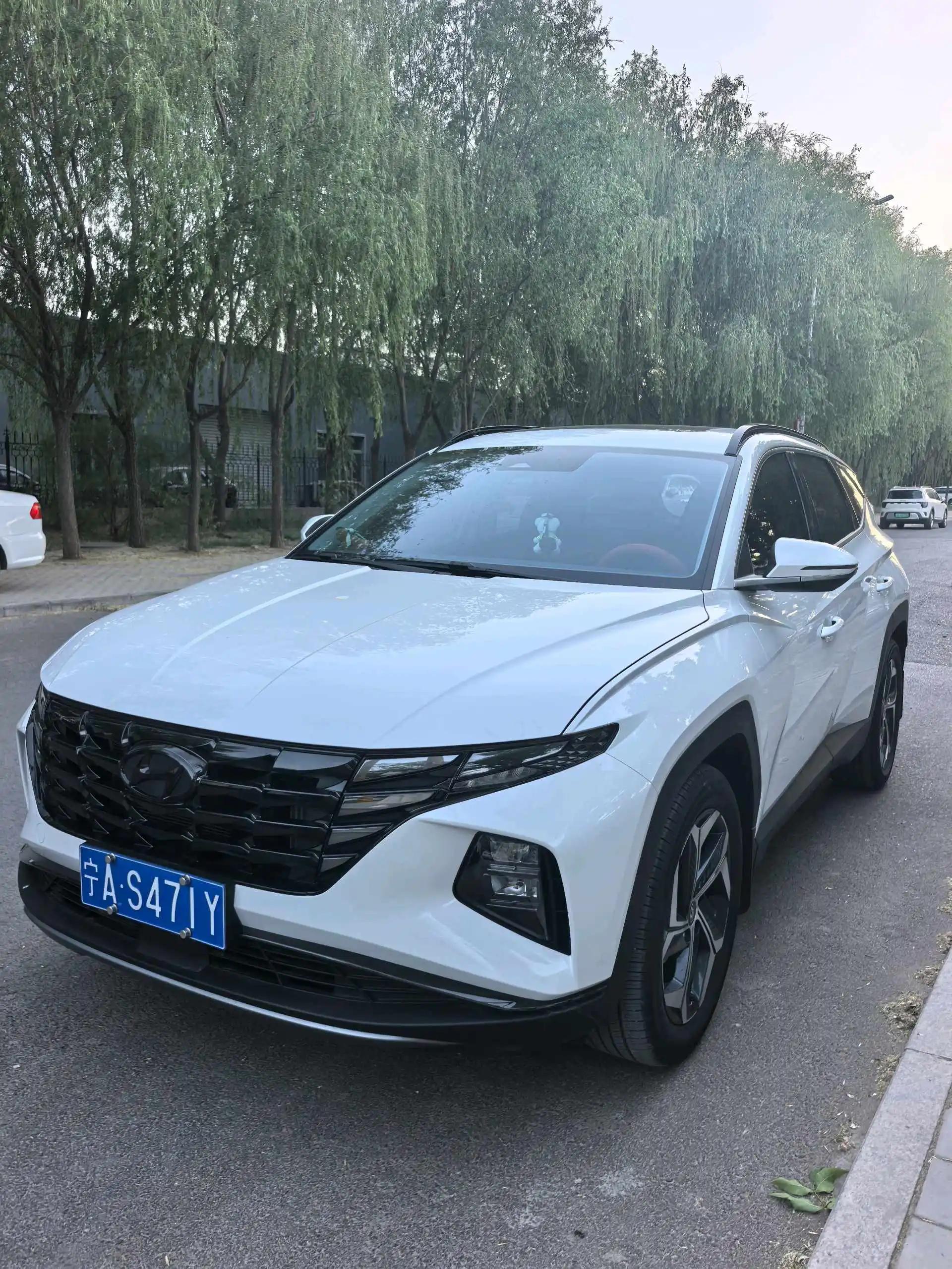 Tousheng 2023 Tousheng L 1.5T Automatic Two-Drive TOP N Line Ultimate Edition