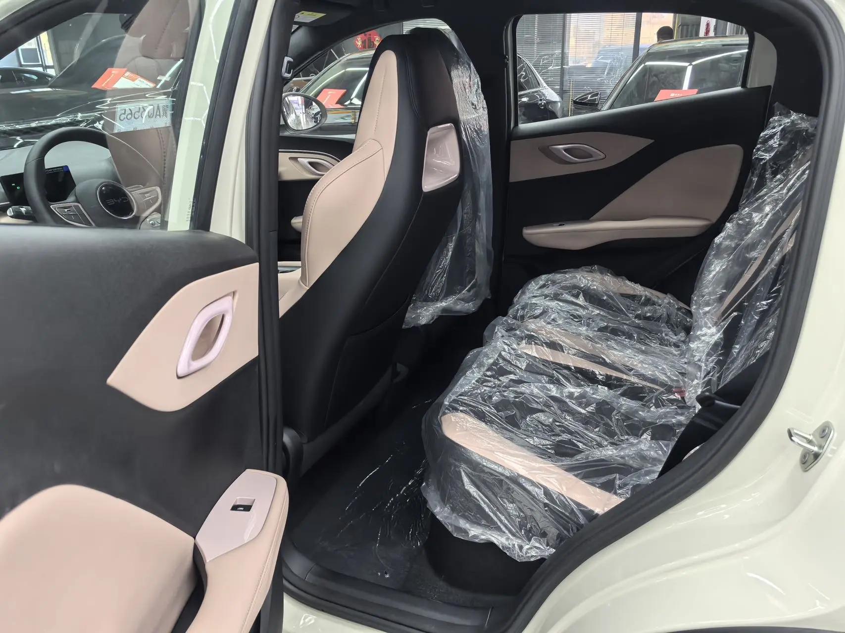 BYD 2025 Seagull Intelligent Driving Edition 305km Vitality Edition Automatic 3