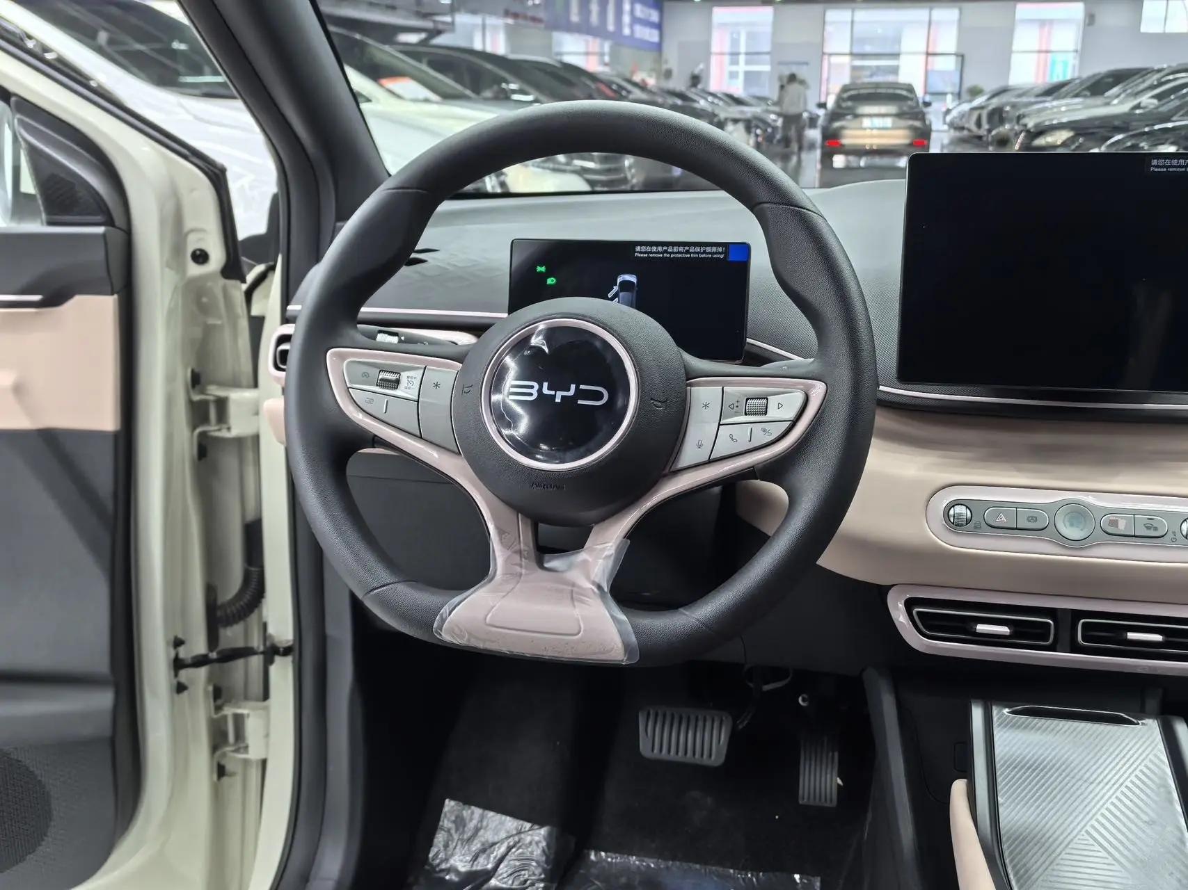 BYD 2025 Seagull Intelligent Driving Edition 305km Vitality Edition Automatic 5