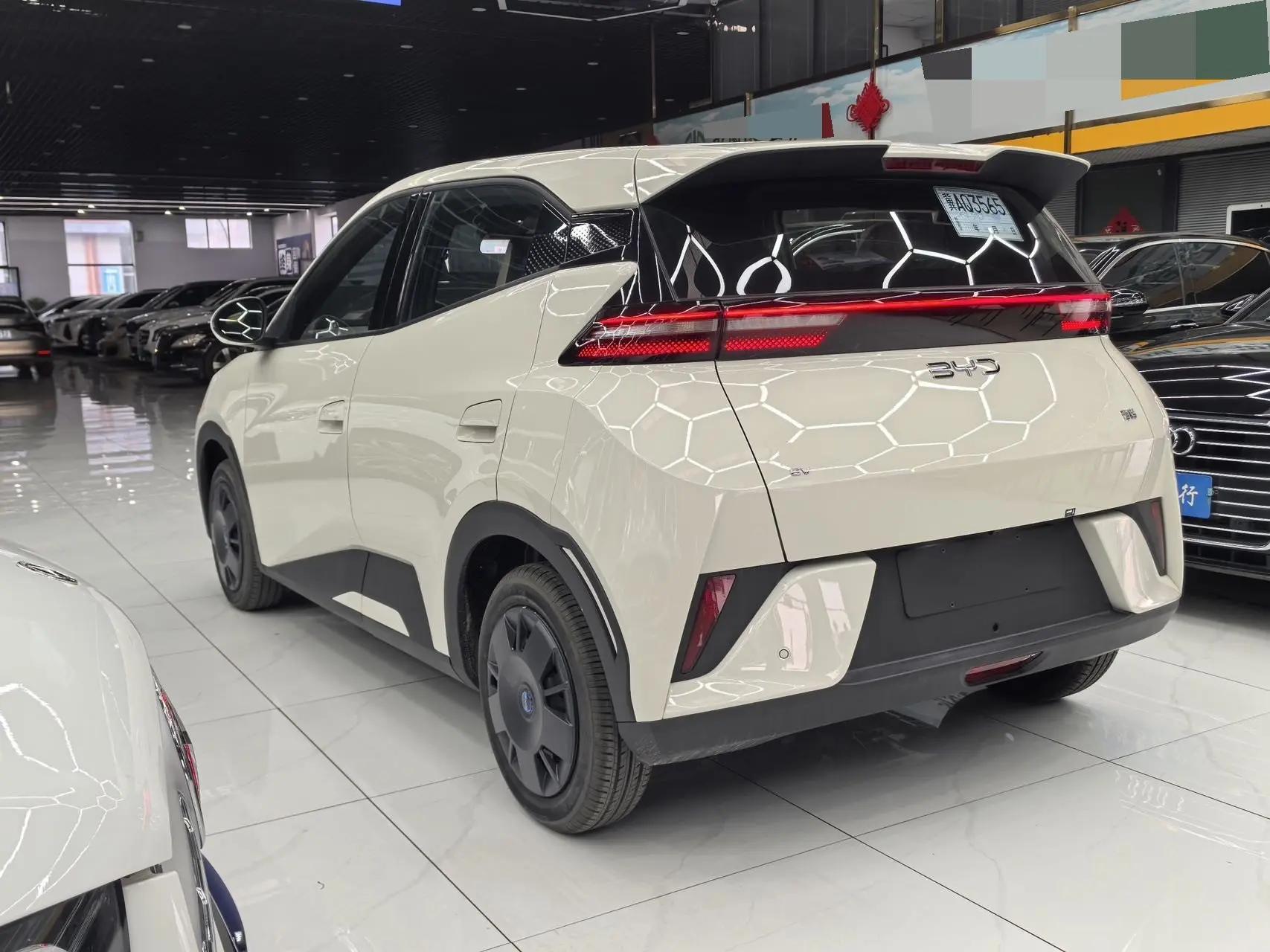 BYD 2025 Seagull Intelligent Driving Edition 305km Vitality Edition Automatic 6