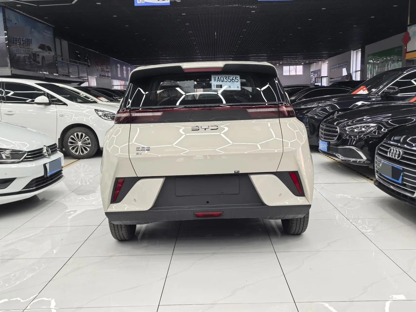 BYD 2025 Seagull Intelligent Driving Edition 305km Vitality Edition Automatic 7