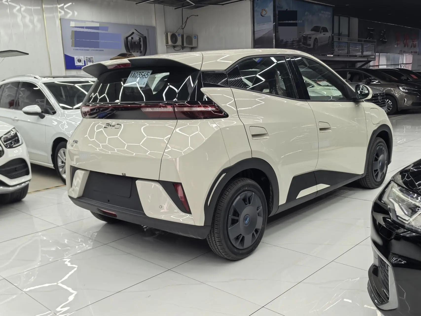 BYD 2025 Seagull Intelligent Driving Edition 305km Vitality Edition Automatic 8