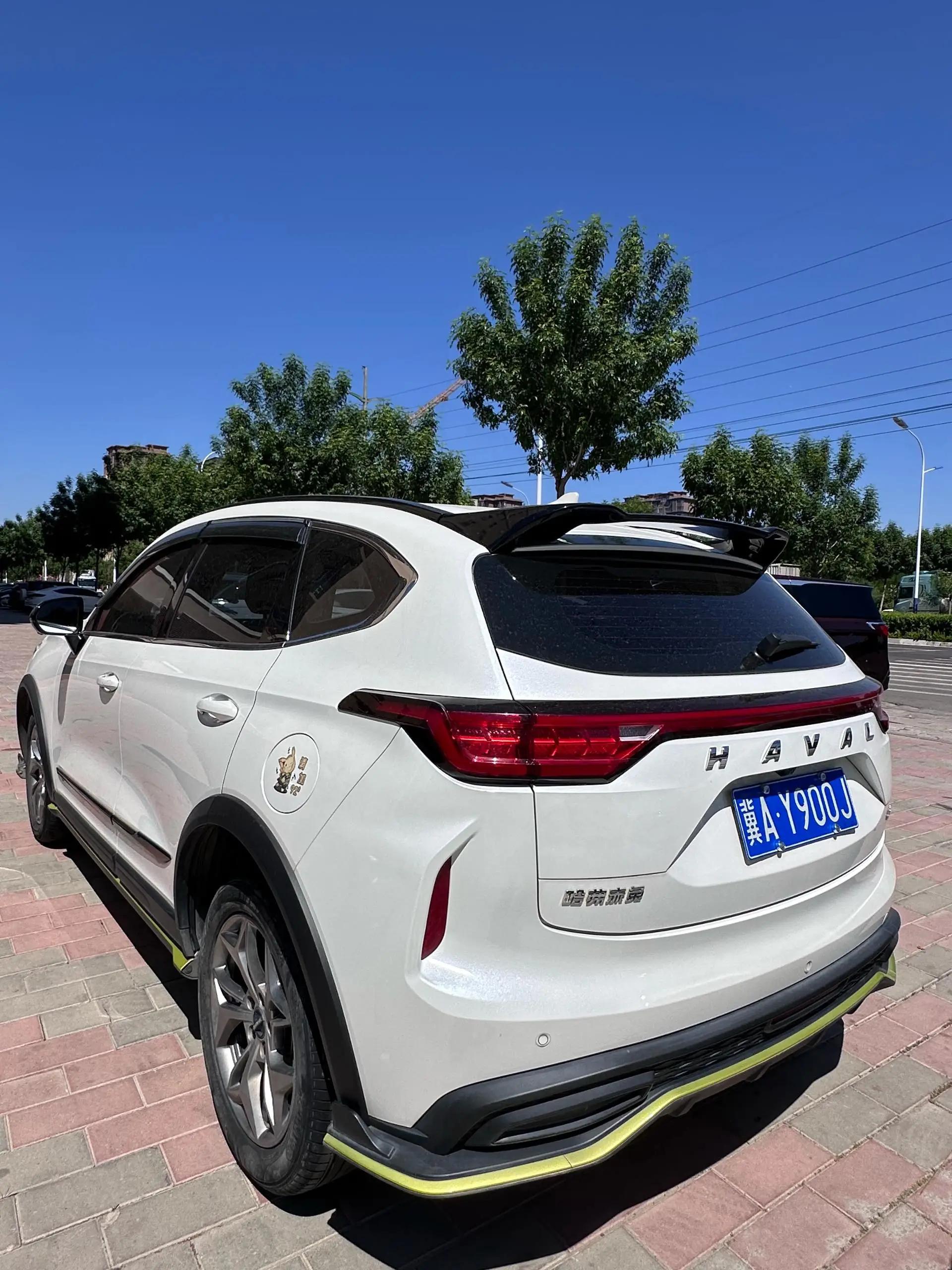 Haval Red Rabbit 2022 Jin Xiang Edition 1.5T Copper Rabbit 6