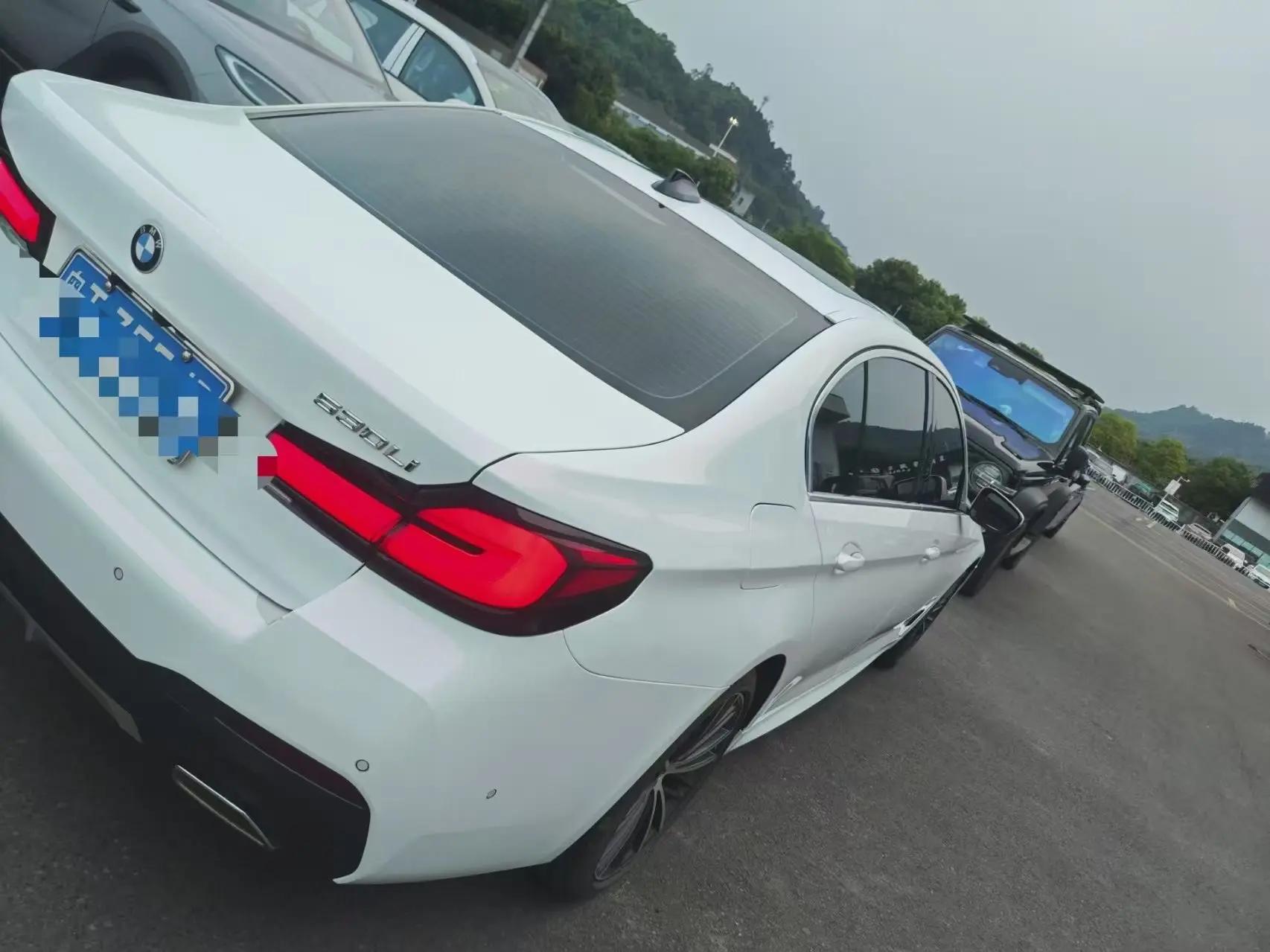 BMW 5 Series 2021 530Li Leading Luxury Suit 5