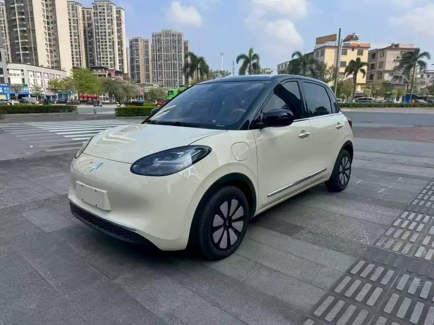 WuLing Plantronics 2024 333km Pleasant