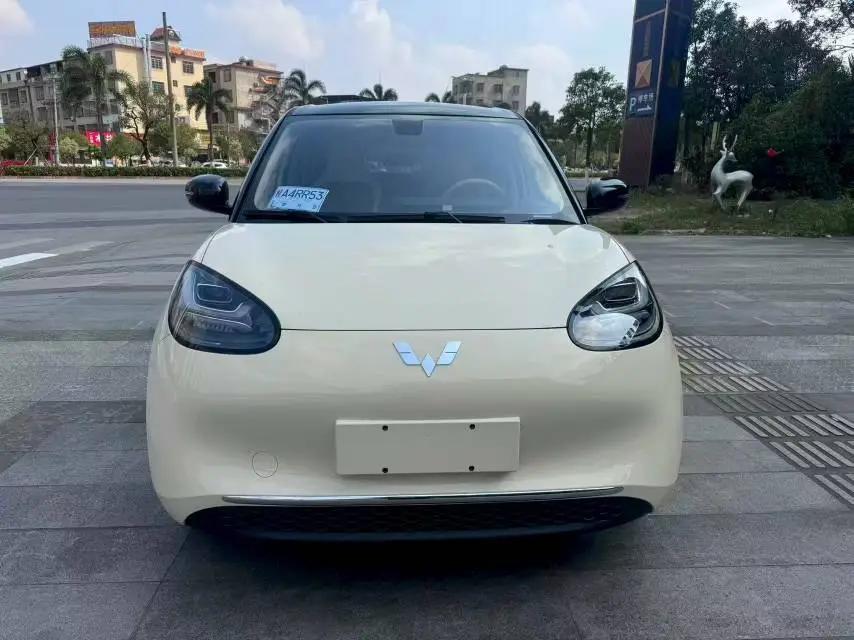 WuLing Plantronics 2024 333km Pleasant 2