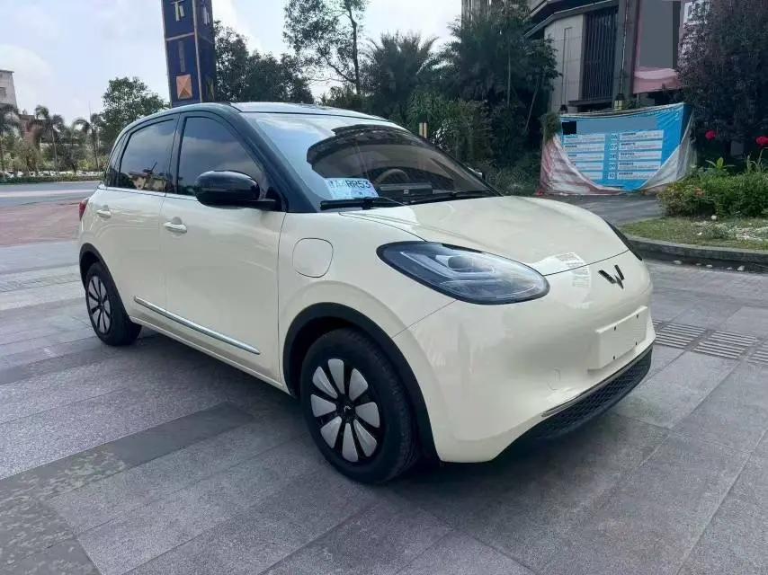 WuLing Plantronics 2024 333km Pleasant 3