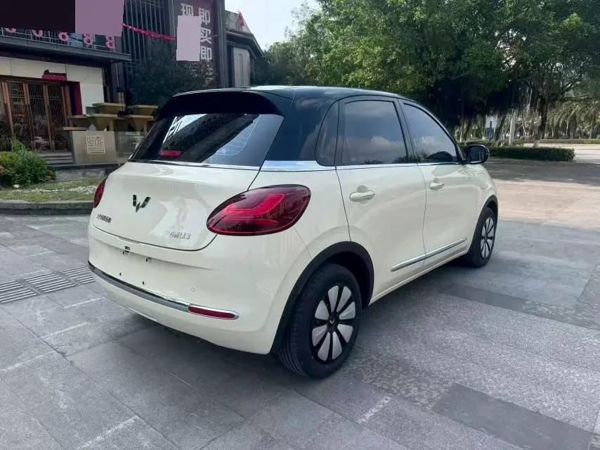 WuLing Plantronics 2024 333km Pleasant 6