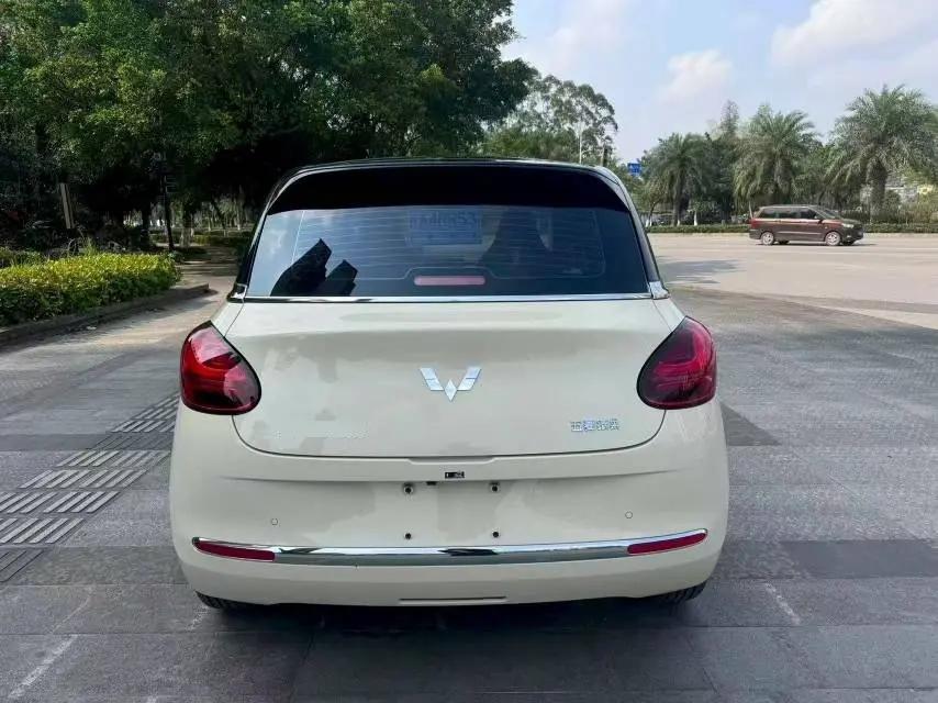 WuLing Plantronics 2024 333km Pleasant 7