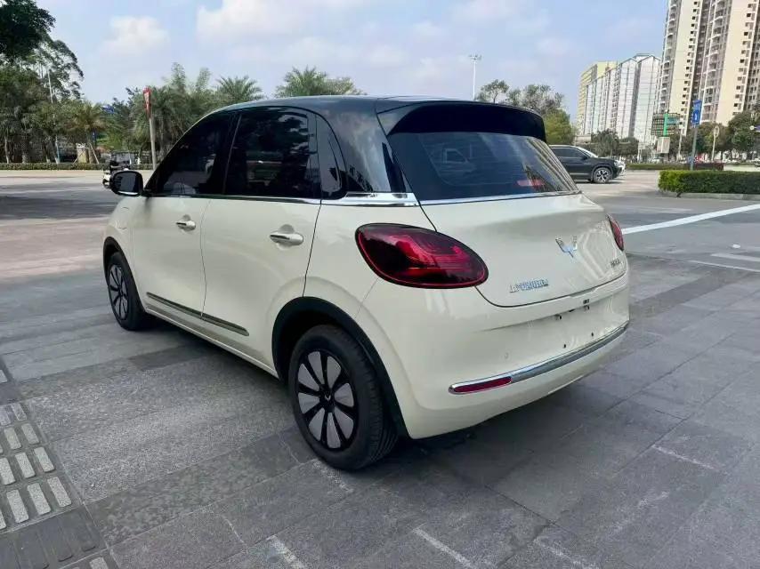WuLing Plantronics 2024 333km Pleasant 8