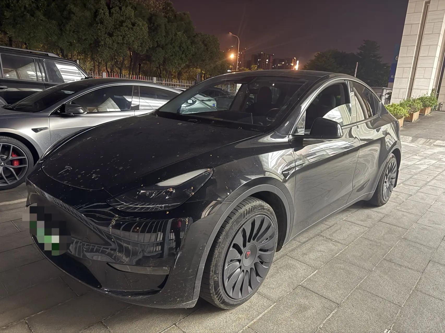 Model Y 2021 Standard Endurance Rear Drive Edition
