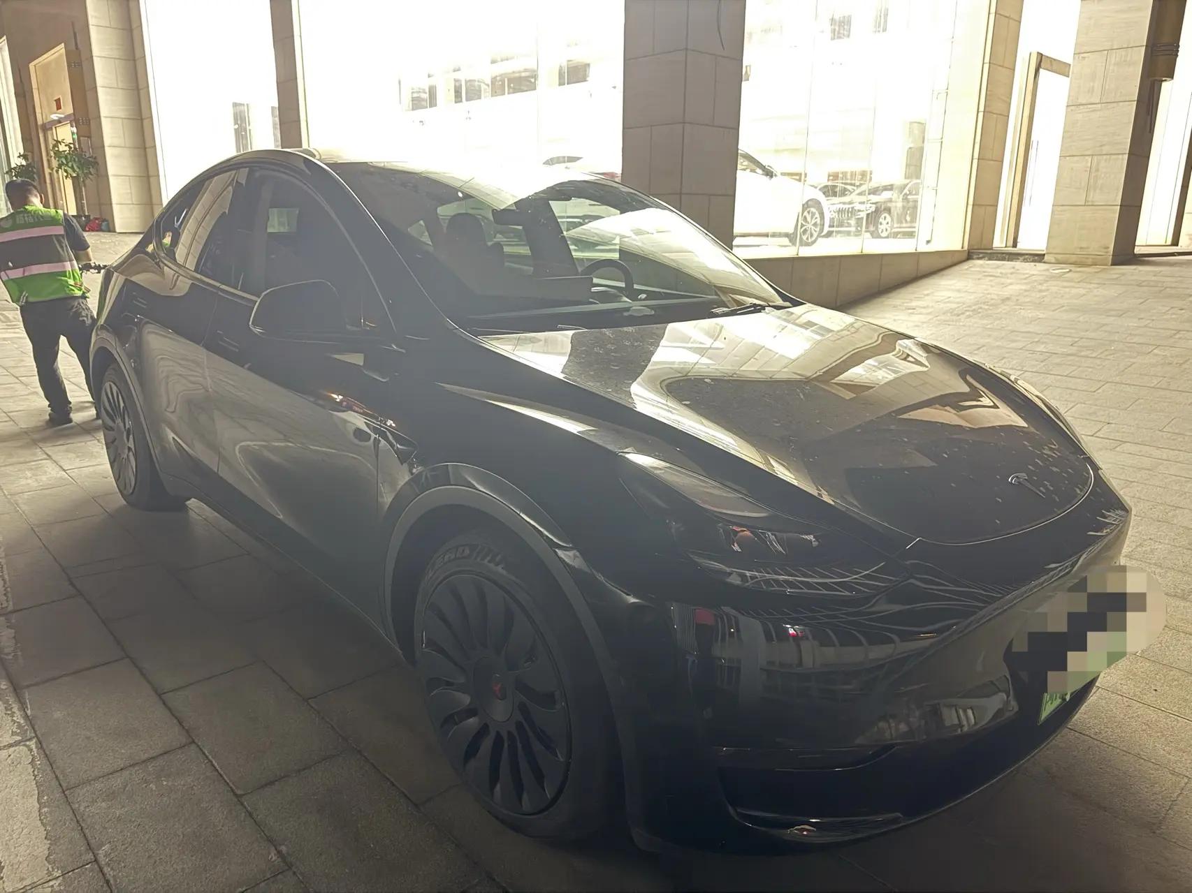 Model Y 2021 Standard Endurance Rear Drive Edition 2